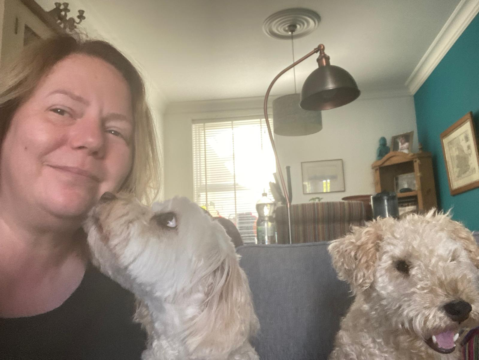about Suzie of Hellas Happy Hounds